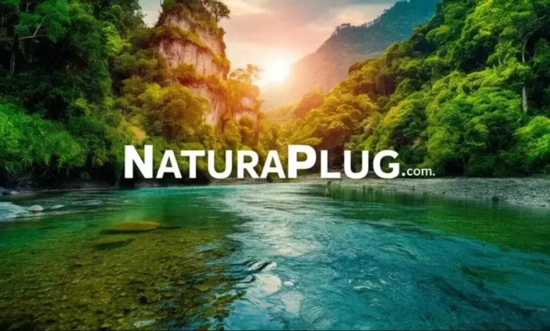 naturaplug.com