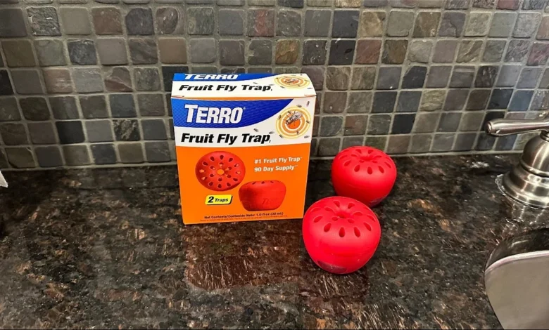 terro fruit fly trap