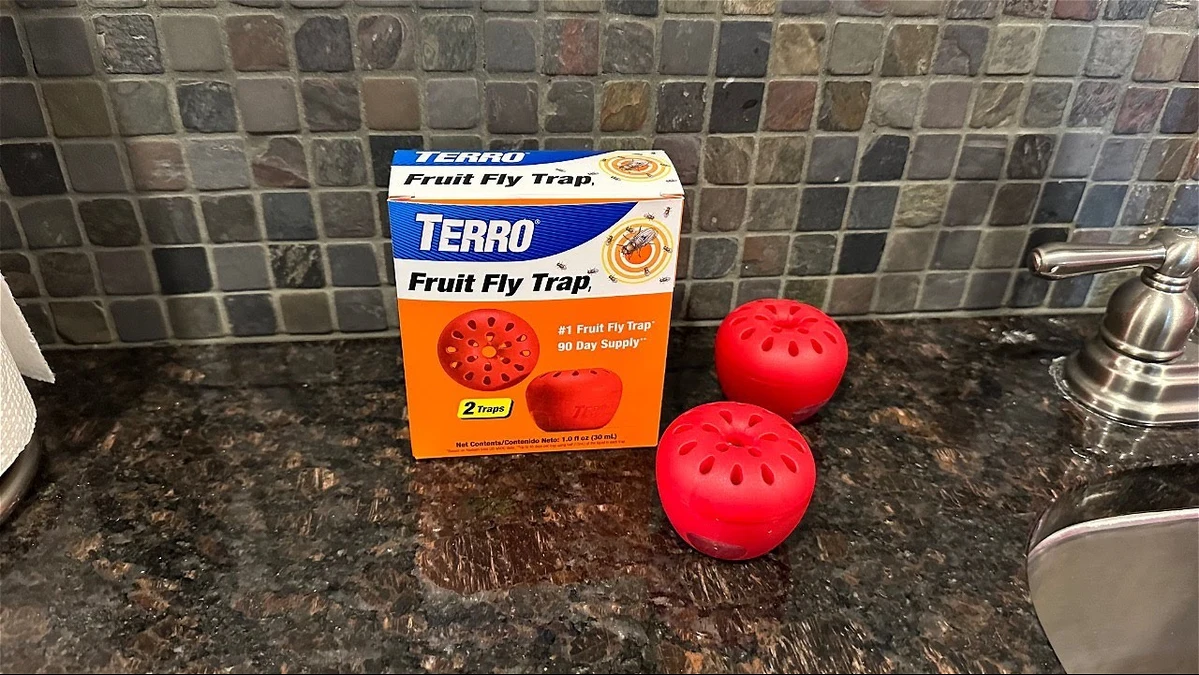 terro fruit fly trap